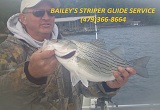 Striper fishing guide service